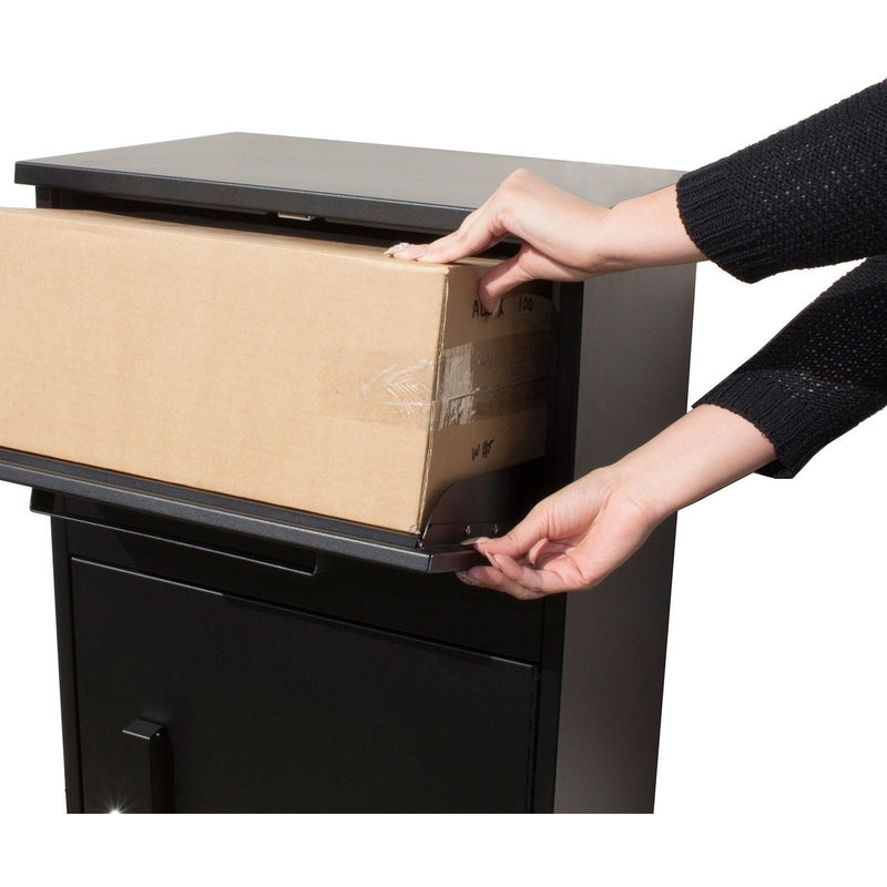 QualArc Winfield ParcelDefender Locking Parcel & Mailbox