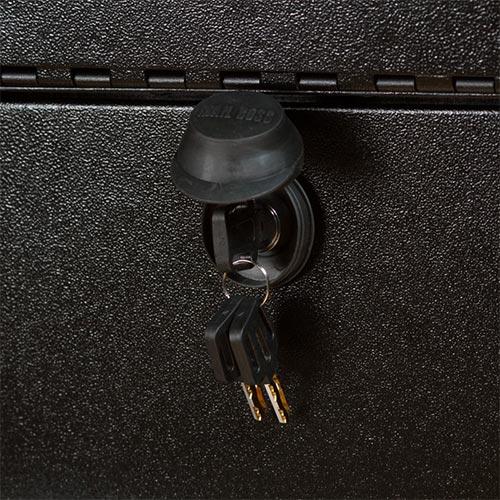 Mail Boss Lock Cover